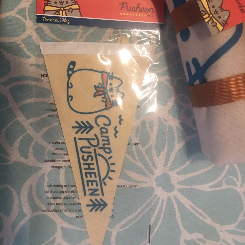 Camp Pusheen pennant flag 2020 summer box